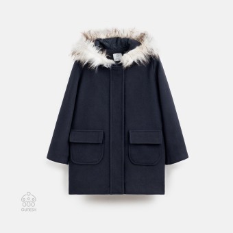 پالتو فروزیا