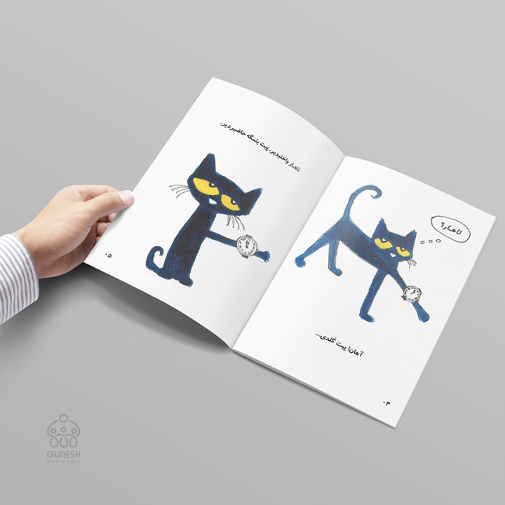 کتاب پیت‌ ین بؤیوک ناهاری