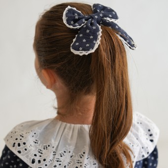 گیره دوکاره بهارین